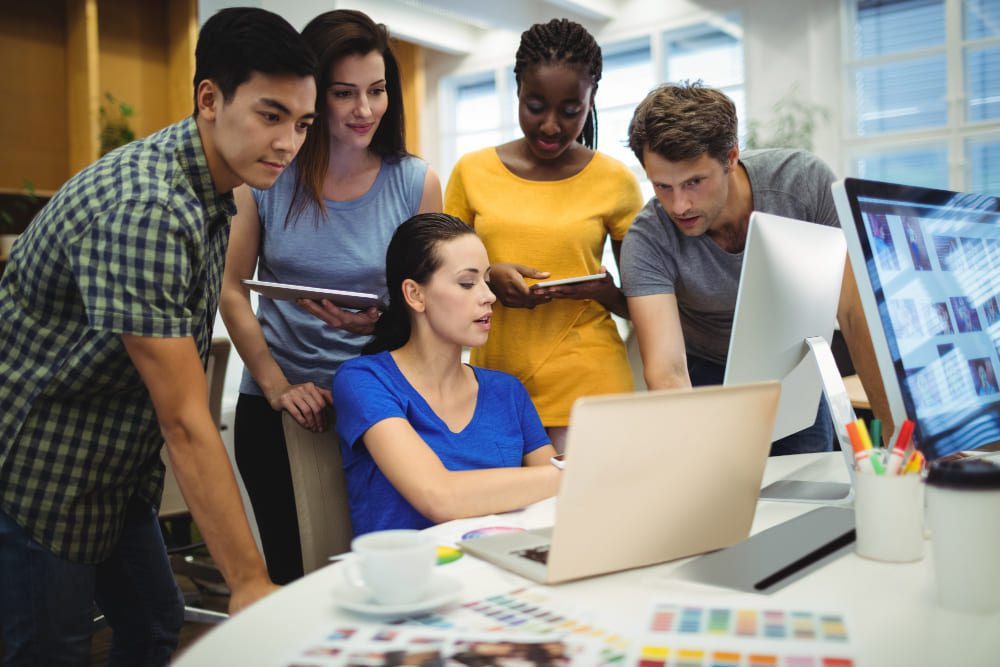 Developer Team